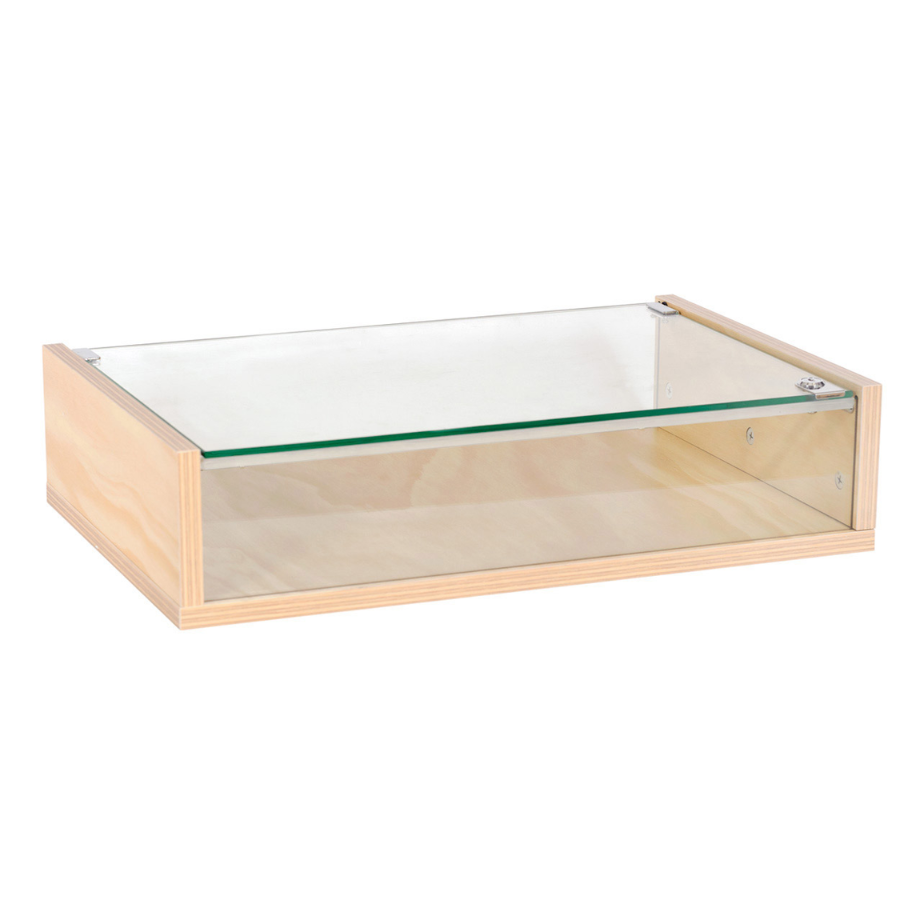 Counter top display case